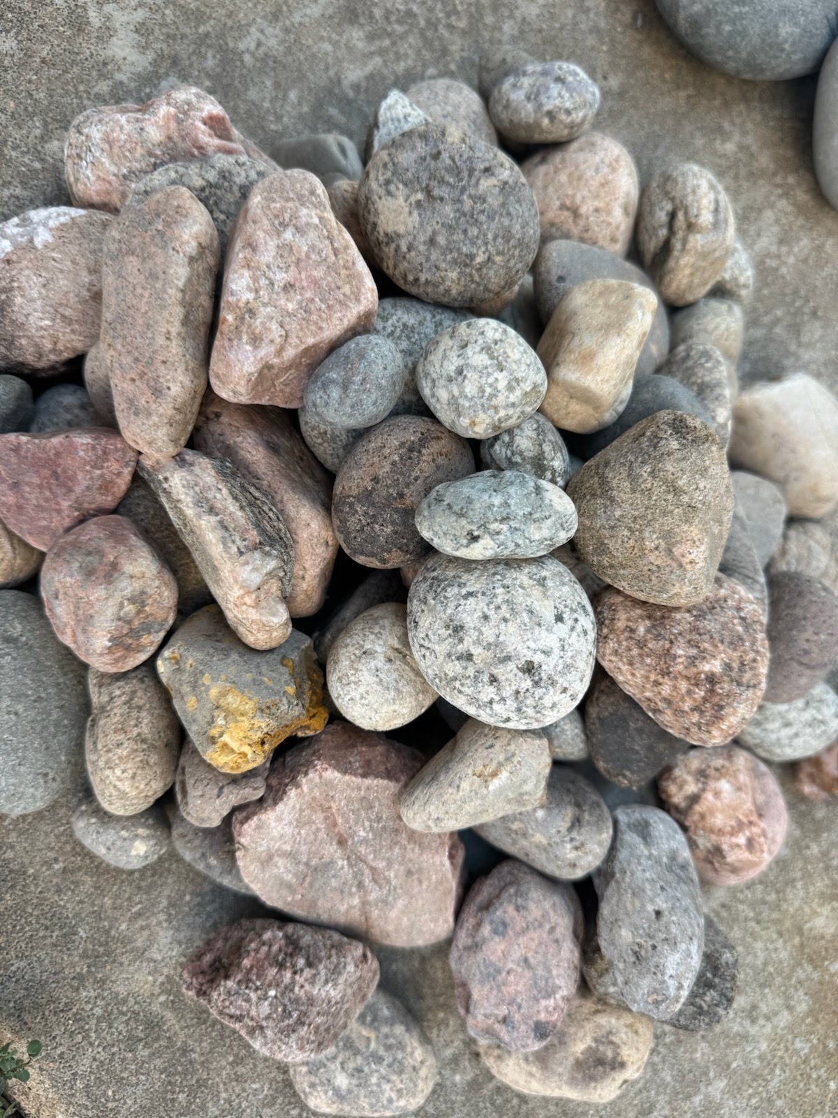 1-2 Colorado Rainbow River Rock