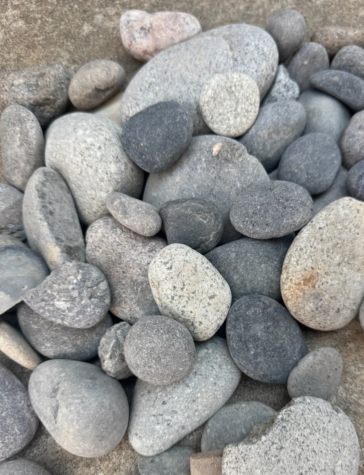 1-2 inch Canyon Gray Decorative Rock