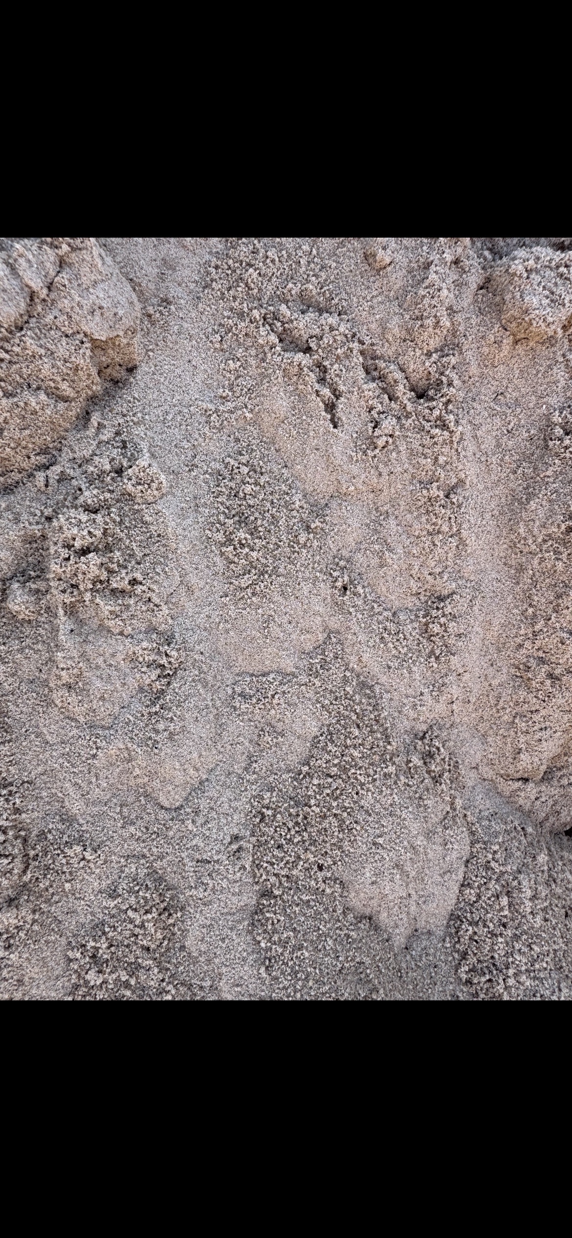 Mason Sand