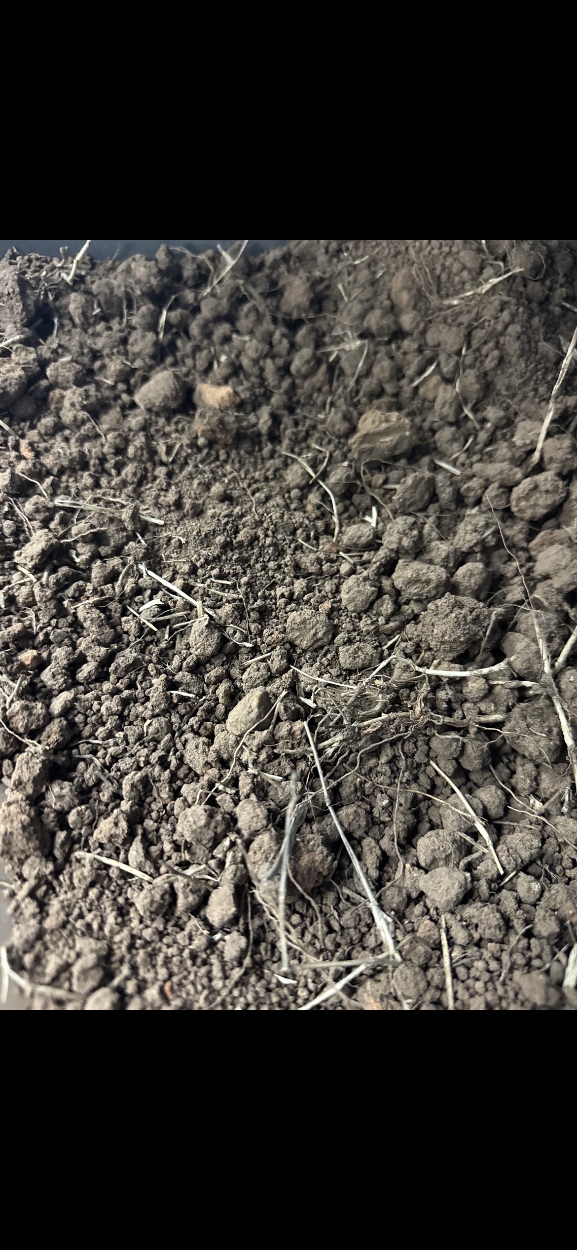 Topsoil Unscreened